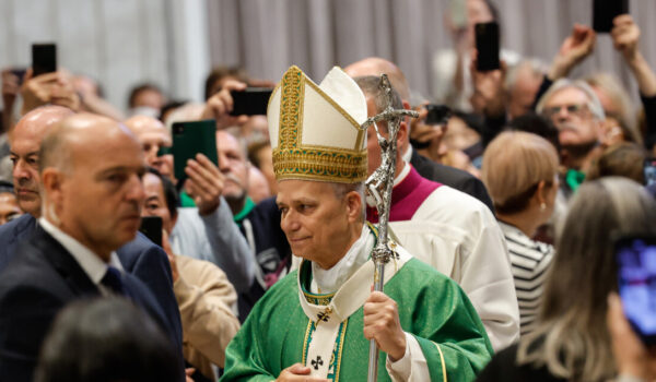 Il Papa, stop clericalismi e logiche potere, Chiesa è ospitale
