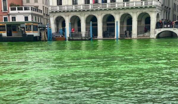 Il Canal Grande di Venezia si colora nuovamente di verde