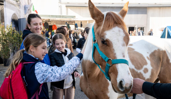 Lollobrigida, Verona capitale anche del mondo del cavallo