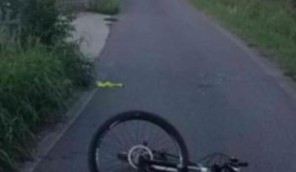 Ciclista investì cinghiale e morì, identificato guidatore che non si fermò